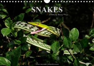 SNAKES / UK-Version (Wall Calendar 2020 DIN A4 Landscape) de Benny Trapp