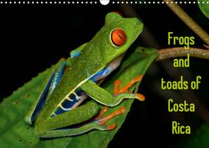 Frogs and toads of Costa Rica / UK-version (Wall Calendar 2020 DIN A3 Landscape) de Stefan Dummermuth