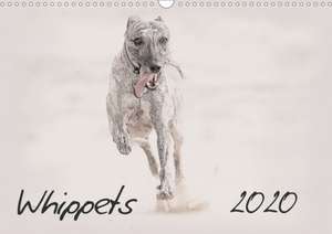 Whippets 2020 (Wall Calendar 2020 DIN A3 Landscape) de Andrea Redecker