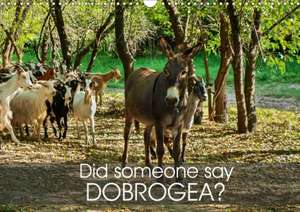 Did someone say Dobrogea? (Wall Calendar 2020 DIN A3 Landscape) de Mag's Eyes