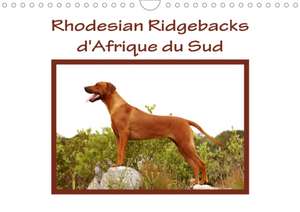 Rhodesian Ridgebacks d'Afrique du Sud (Calendrier mural 2020 DIN A4 horizontal) de Anke van Wyk - www. germanpix. net