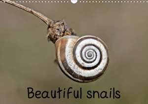 Beautiful snails (Wall Calendar 2020 DIN A3 Landscape) de Christine Schmutzler-Schaub