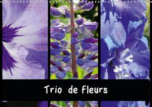 Trio de fleurs (Calendrier mural 2020 DIN A3 horizontal) de Martina Busch