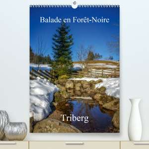 Balade en Forêt-Noire Triberg(Premium, hochwertiger DIN A2 Wandkalender 2020, Kunstdruck in Hochglanz) de Alain Gaymard