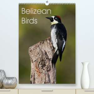 Belizean Birds(Premium, hochwertiger DIN A2 Wandkalender 2020, Kunstdruck in Hochglanz) de Ray Wilson