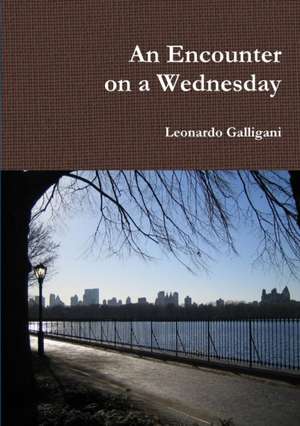 An Encounter on a Wednesday de Leonardo Galligani