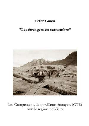 "Les Etrangers En Surnombre." Les Groupements de Travailleurs Etrangers (GTE) Sous Le Regime de Vichy de Peter Gaida