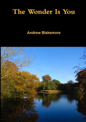 The Wonder Is You de Andrew Blakemore