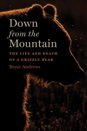 Down From The Mountain: The Life and Death of a Grizzly Bear de Bryce Andrews