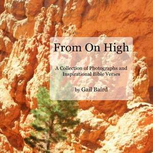 From on High de Gail Baird