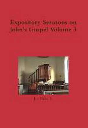 Expository Sermons on John's Gospel Volume 3 de Jr. Joe Tolin