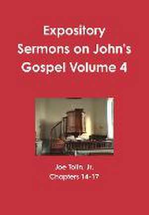 Expository Sermons on John's Gospel Volume 4 de Jr. Joe Tolin