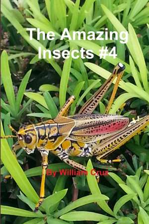 The Amazing Insects #4 de William Cruz