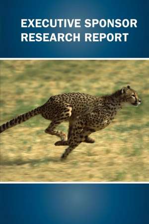 Executive Sponsor Research Report de James Johnson