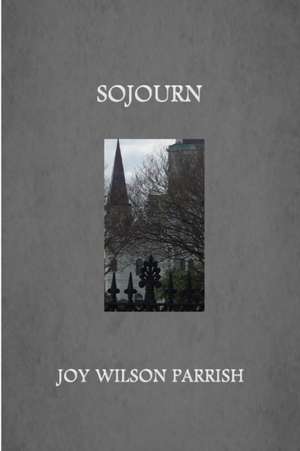 Sojourn de Joy Wilson Parrish