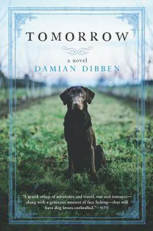 Tomorrow de Damian Dibben