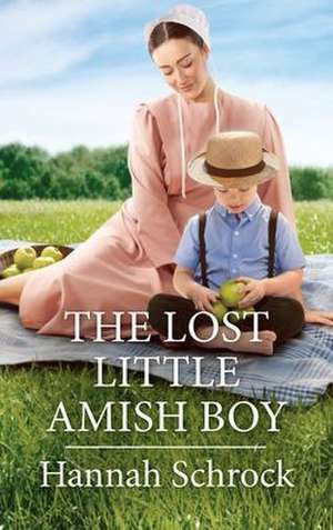 The Lost Little Amish Boy de Hannah Schrock