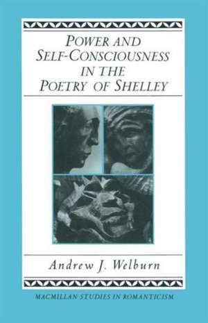 Power and Self-Consciousness in the Poetry of Shelley de Andrew J. Welburn