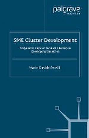 SME Cluster Development: A Dynamic View of Survival Clusters in Developing Countries de M. Parrilli