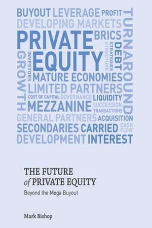 The Future of Private Equity: Beyond the Mega Buyout de Mark Bishop