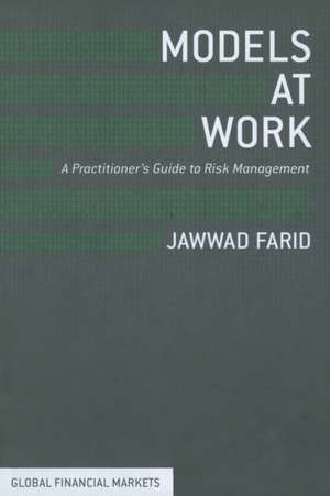 Models at Work: A Practitioner's Guide to Risk Management de J. Farid