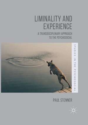 Liminality and Experience: A Transdisciplinary Approach to the Psychosocial de Paul Stenner