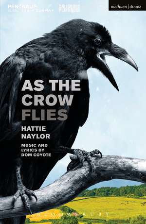 As the Crow Flies de Hattie Naylor