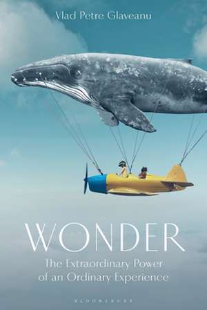 Wonder: The Extraordinary Power of an Ordinary Experience de Vlad P. Glaveanu