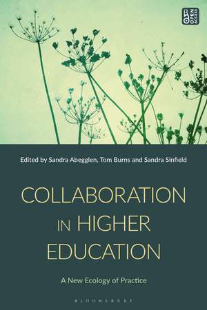 Collaboration in Higher Education de Sandra Abegglen