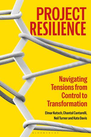 Project Resilience: Navigating Tensions from Control to Transformation de Professor Neil Turner