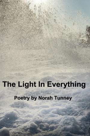 The Light in Everything de Norah Tunney