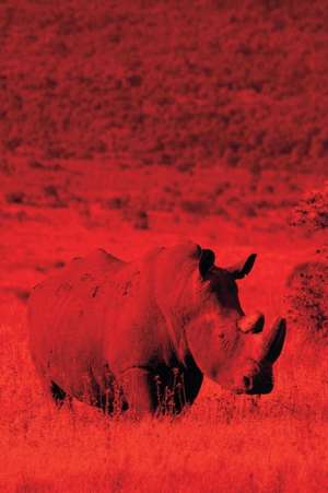 Alive! White Rhino - Red Duotone - Photo Art Notebooks (6 X 9 Series) de Eva-Lotta Jansson