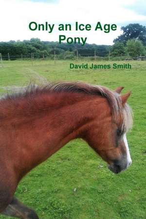 Only an Ice Age Pony de David James Smith