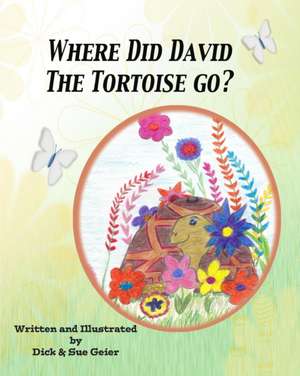 Where Did David the Tortoise Go? de Sue Geier