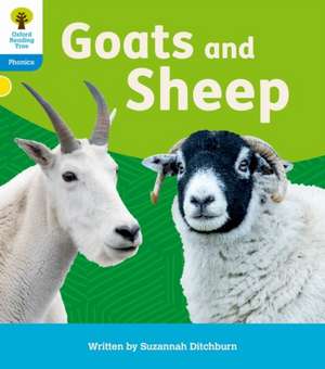 Oxford Reading Tree: Floppy's Phonics Decoding Practice: Oxford Level 3: Goats and Sheep de Suzannah Ditchburn