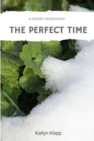 The Perfect Time de Katlyn Klepp
