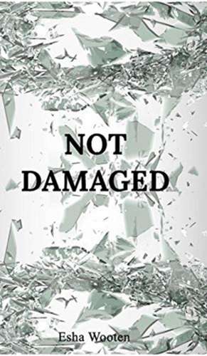 Not Damaged de Esha Wooten