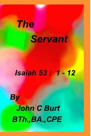 The Servant de John C. Burt