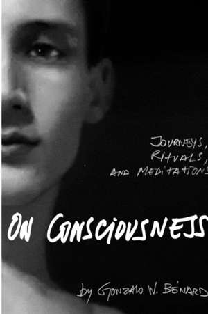 On Consciousness de Gonzalo W. Benard