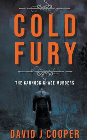 Cold Fury de David J Cooper