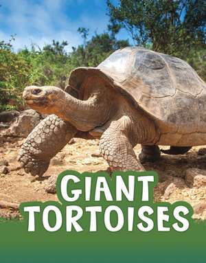 Giant Tortoises de Jaclyn Jaycox