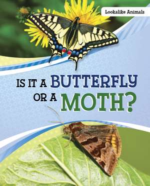 Is It a Butterfly or a Moth? de Susan B. Katz