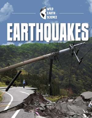 Earthquakes de Golriz Golkar