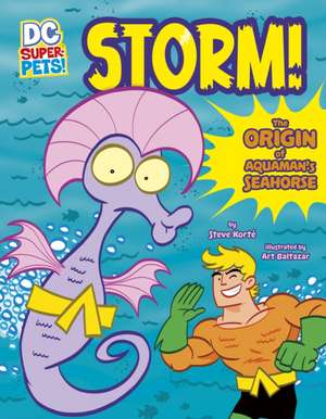 Storm! de Steve Korte