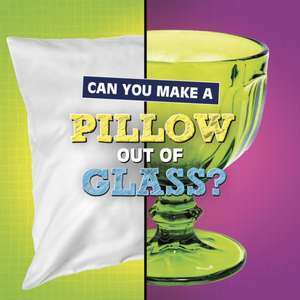 Can You Make a Pillow Out of Glass? de Susan B. Katz