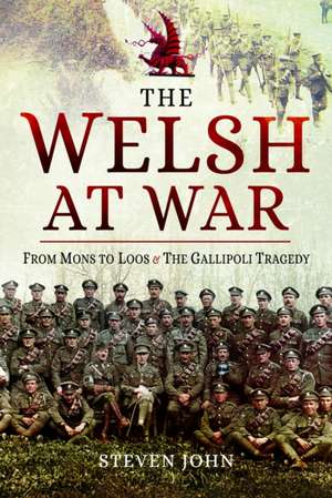 Welsh at War de Steven John