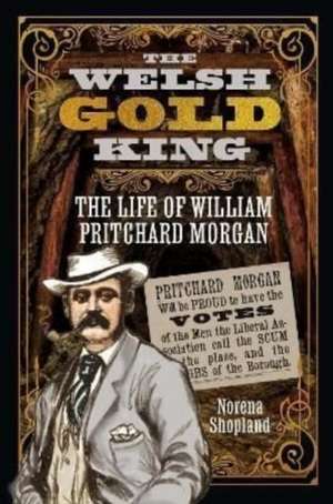 The Welsh Gold King de Norena Shopland