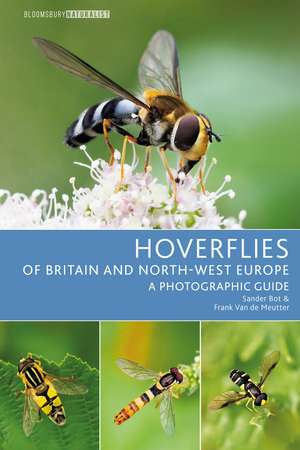 Hoverflies of Britain and North-west Europe: A photographic guide de Sander Bot