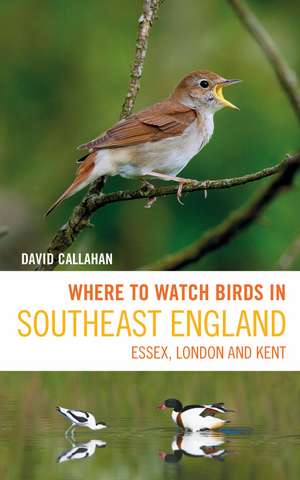 Where to Watch Birds in Southeast England: Essex, London and Kent de David Callahan