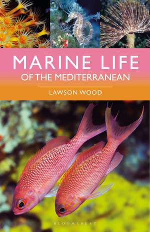 Marine Life of the Mediterranean de Lawson Wood